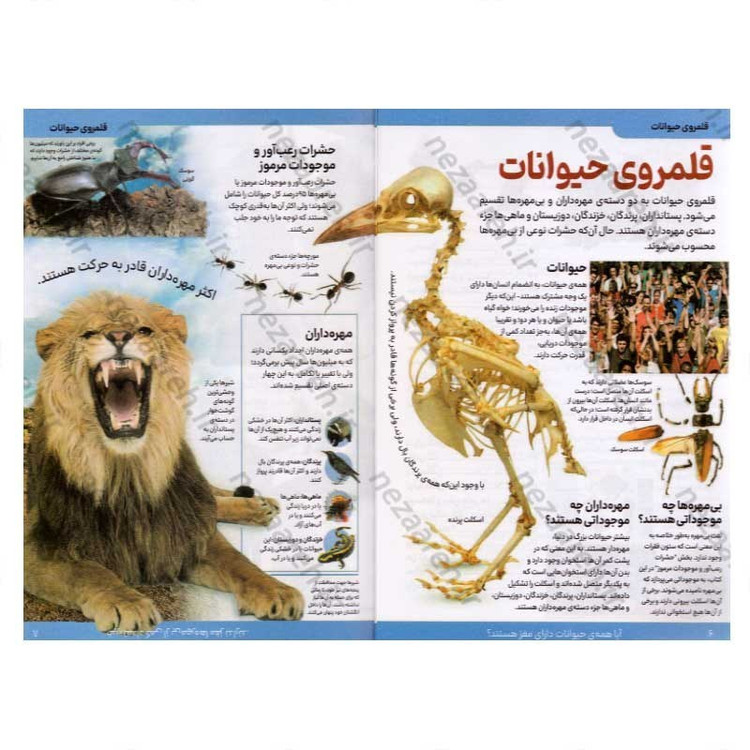 کتاب دانشنامه مصور حیوانات اثر پنلوپ آرلون