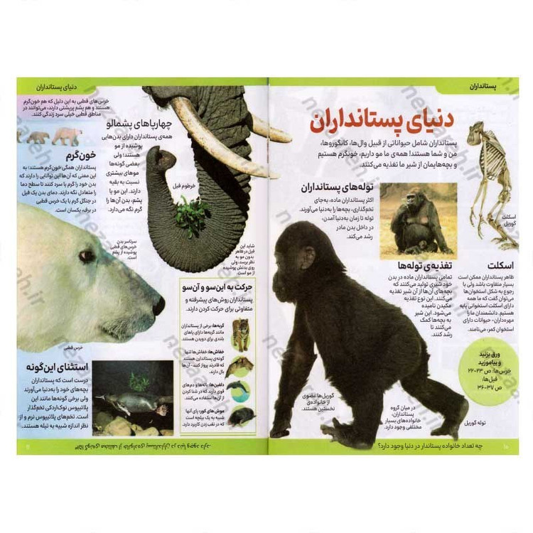 کتاب دانشنامه مصور حیوانات اثر پنلوپ آرلون