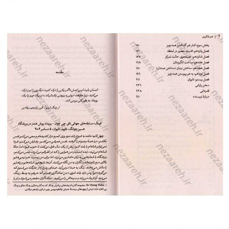 کتاب هنر یادگیری (سفری در مسیر شکوفایی) اثر جاش ویتزکین
