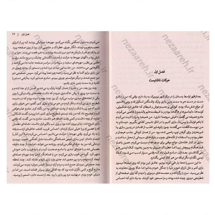 کتاب هنر یادگیری (سفری در مسیر شکوفایی) اثر جاش ویتزکین