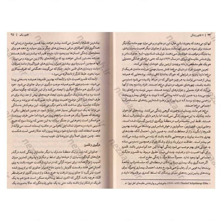 کتاب 12 قانون زندگی (پادزهری برای هرج و مرج) اثر جردن ب. پیترسون