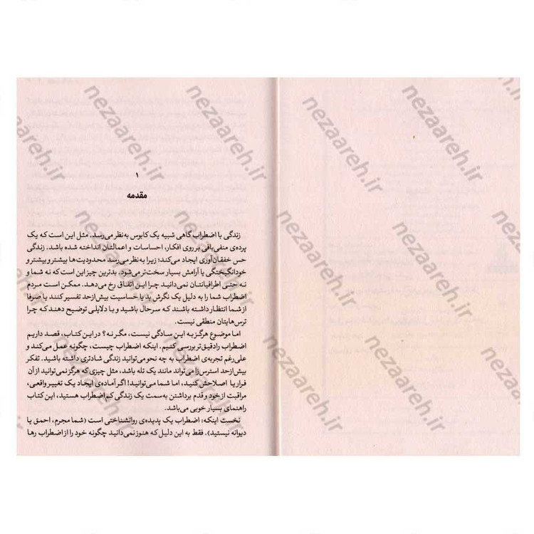کتاب ذهنت را آرام کن (چگونه از فکر کردن بیش از حد دست بکشیم، با استرس مقابله کنیم، از افکار منفی خارج شویم و زندگی را آغ