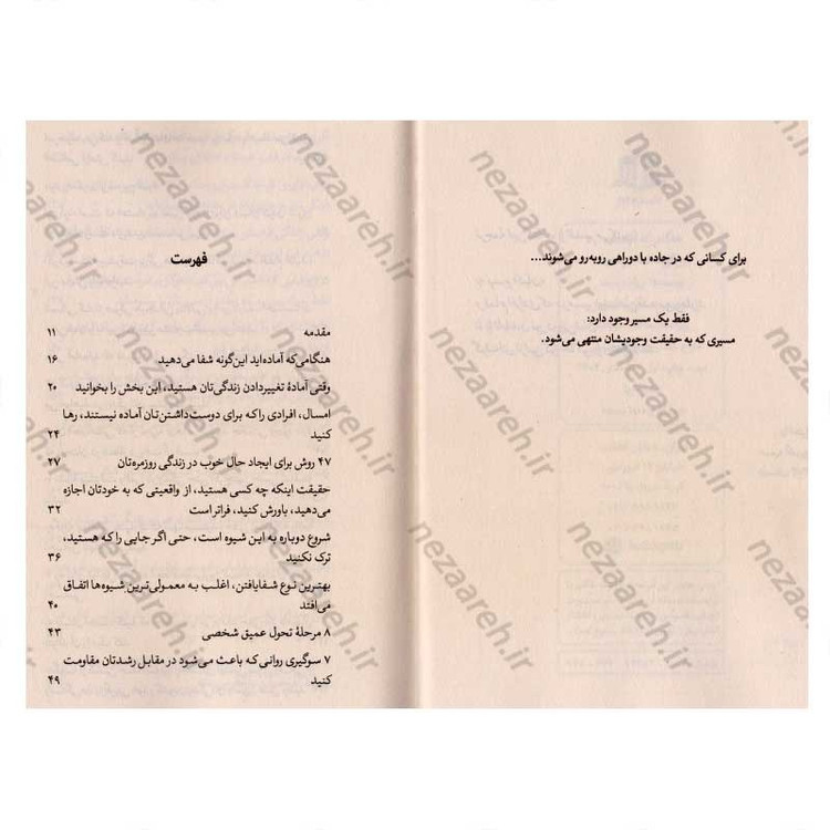 کتاب هنگامی که آماده اید، این گونه شفا می دهید اثر بریانا ویست