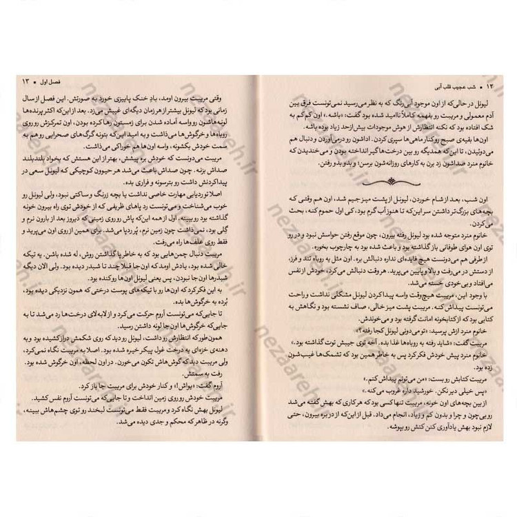 کتاب شب عجیب قلب آبی اثر لارن دیستفانو