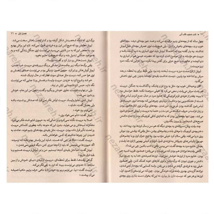 کتاب شب عجیب قلب آبی اثر لارن دیستفانو