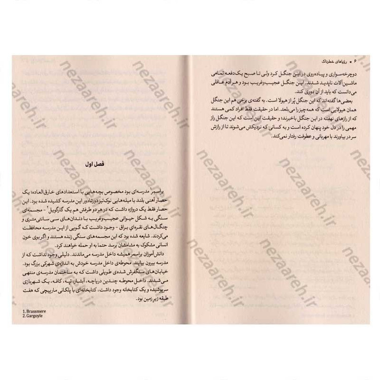 کتاب رویاهای خطرناک اثر لارن دیستفانو