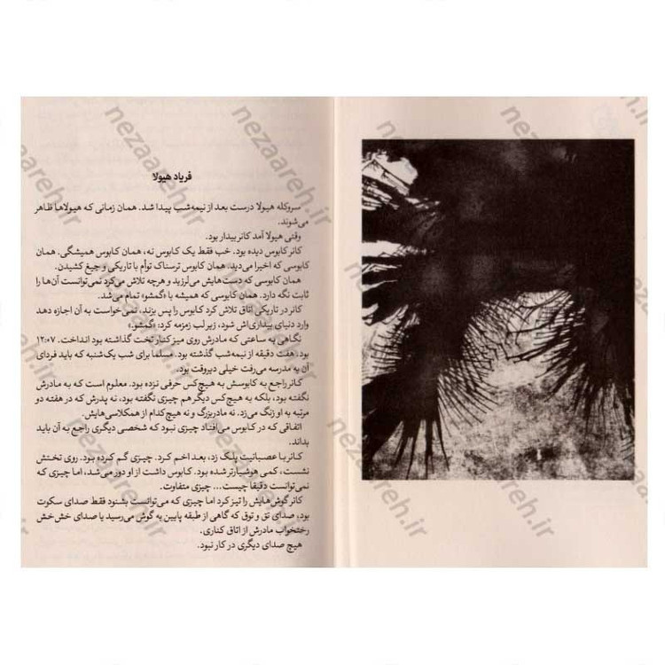 کتاب هیولا صدا می زند اثر پاتریک نس