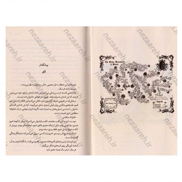 کتاب بی پروا اثر لورن رابرتس مترجم سید عابدین موسوی