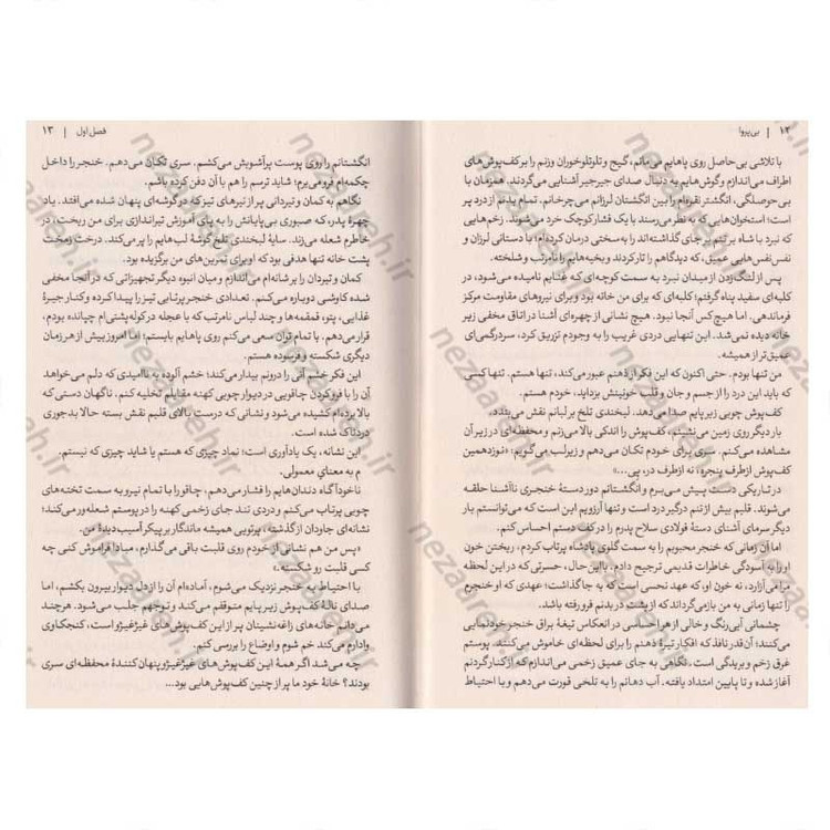 کتاب بی پروا اثر لورن رابرتس مترجم سید عابدین موسوی