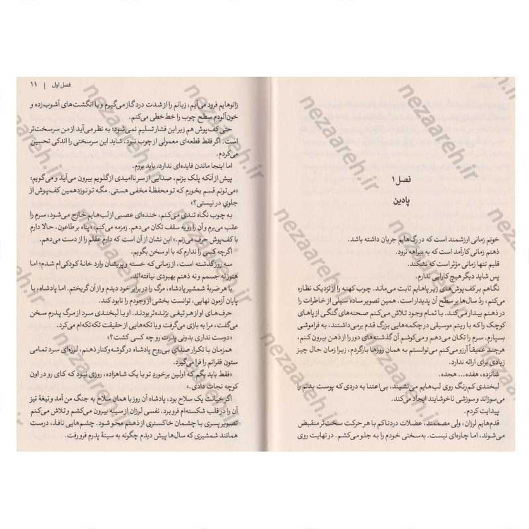کتاب بی پروا اثر لورن رابرتس مترجم سید عابدین موسوی