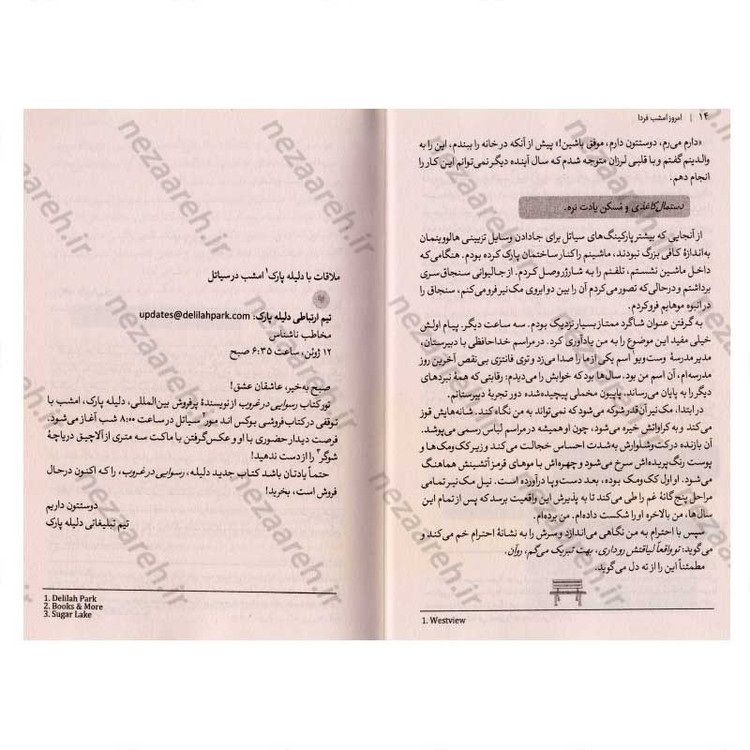 کتاب امروز، امشب، فردا اثر ریچل لین سالومون