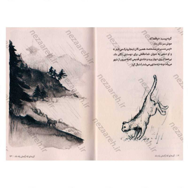 کتاب گربه ای که آرامش یاد داد اثر جیمز نوربری