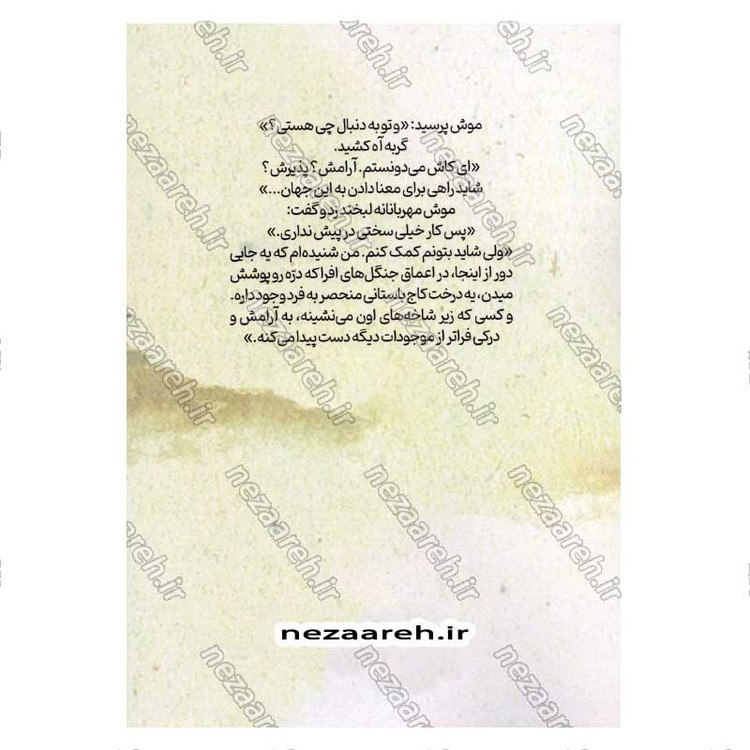 کتاب گربه ای که آرامش یاد داد اثر جیمز نوربری