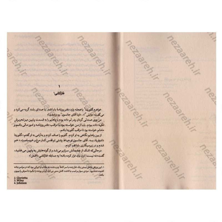 کتاب کوهستان شارلاتان اثر سید فلایشمن