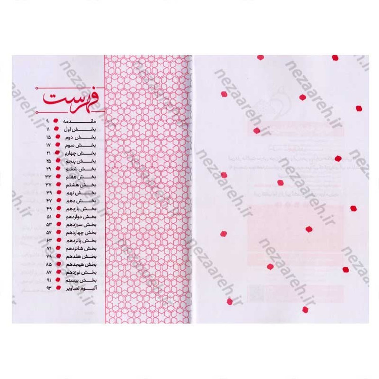 کتاب غواص ها بوی نعنا می دهند اثر حمید حسام