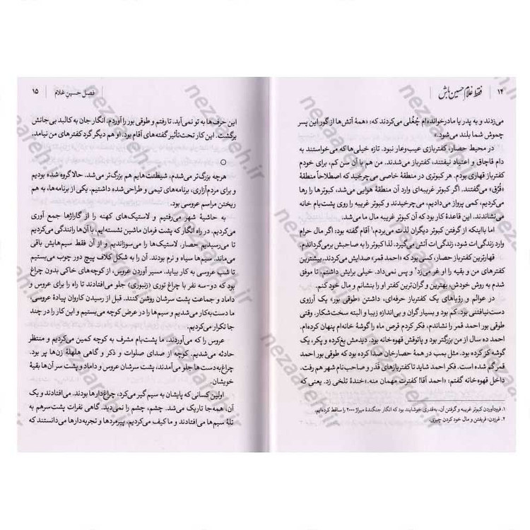 کتاب فقط غلام حسین باش (روایت جانباز سرافراز حسین رفیعی) اثر حمید حسام