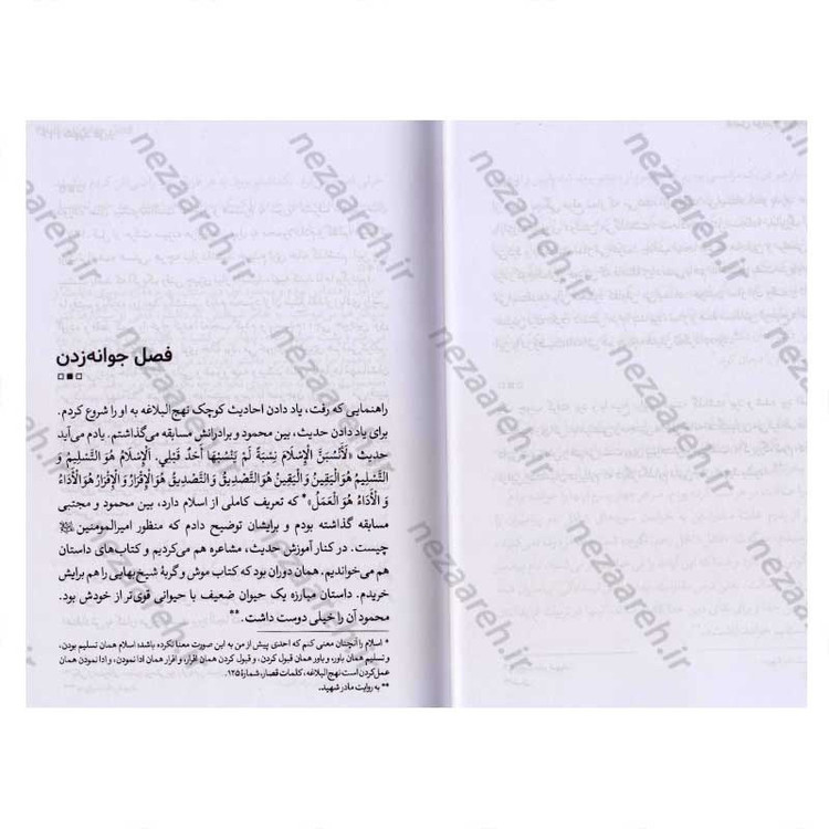 کتاب شهید عزیز (مجموعه خاطرات شهید مدافع حرم محمود رادمهر) اثر مصیب معصومیان، صادق کیان نژاد