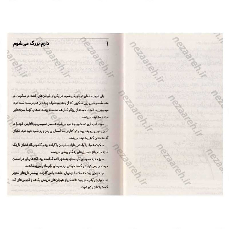 کتاب ملا صالح (سرگذشت شگفت انگیز اسرای ایرانی در عراق) اثر رضیه غبیشی