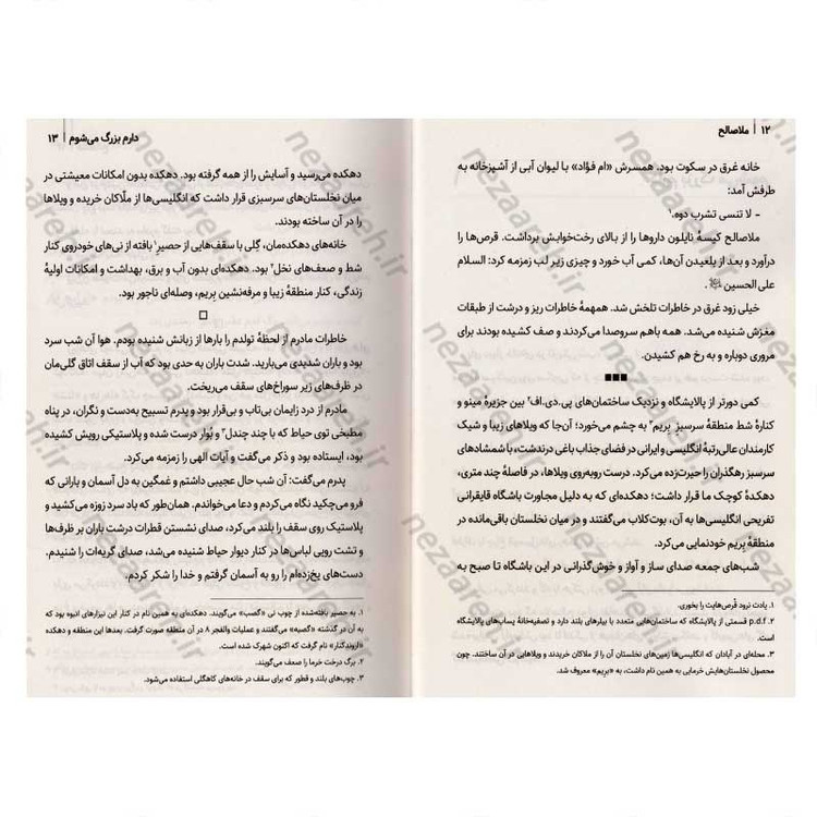 کتاب ملا صالح (سرگذشت شگفت انگیز اسرای ایرانی در عراق) اثر رضیه غبیشی