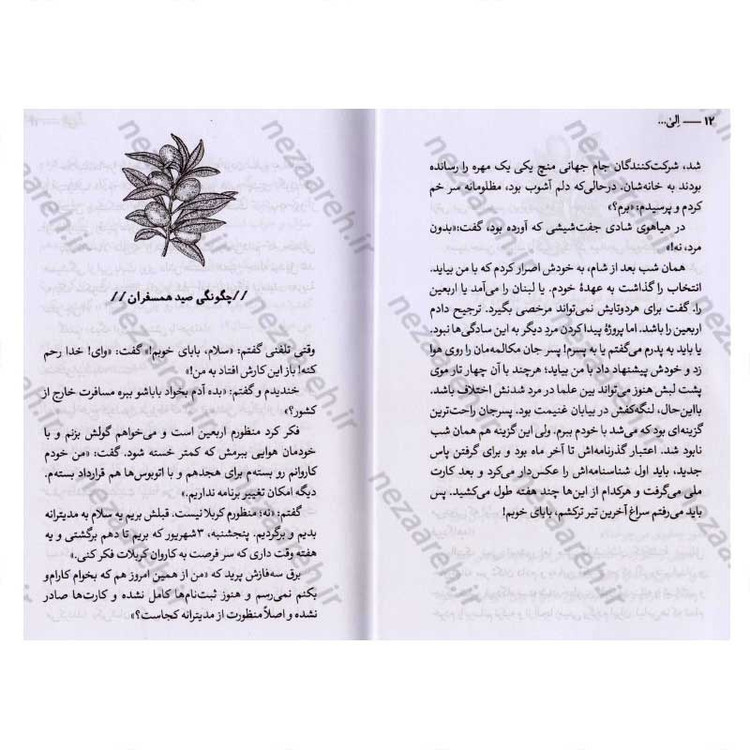 کتاب الی (سفرنامه شامات و حدود سرزمین های اشغالی) اثر فائضه غفار حدادی