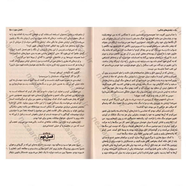 کتاب بلندی های بادگیر اثر امیلی برونته