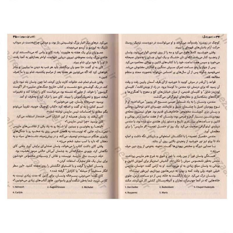 کتاب شور زندگی (داستان پرماجرای زندگی ون گوگ) اثر ایروینگ استون