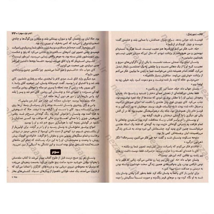 کتاب شور زندگی (داستان پرماجرای زندگی ون گوگ) اثر ایروینگ استون