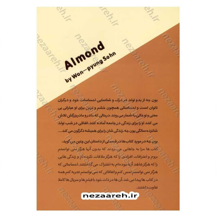 کتاب بادام اثر وون پیونگ سون مترجم مریم مرادی اسفیانی