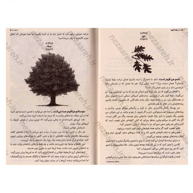 کتاب درخت آرزو اثر کاترین اپل گیت