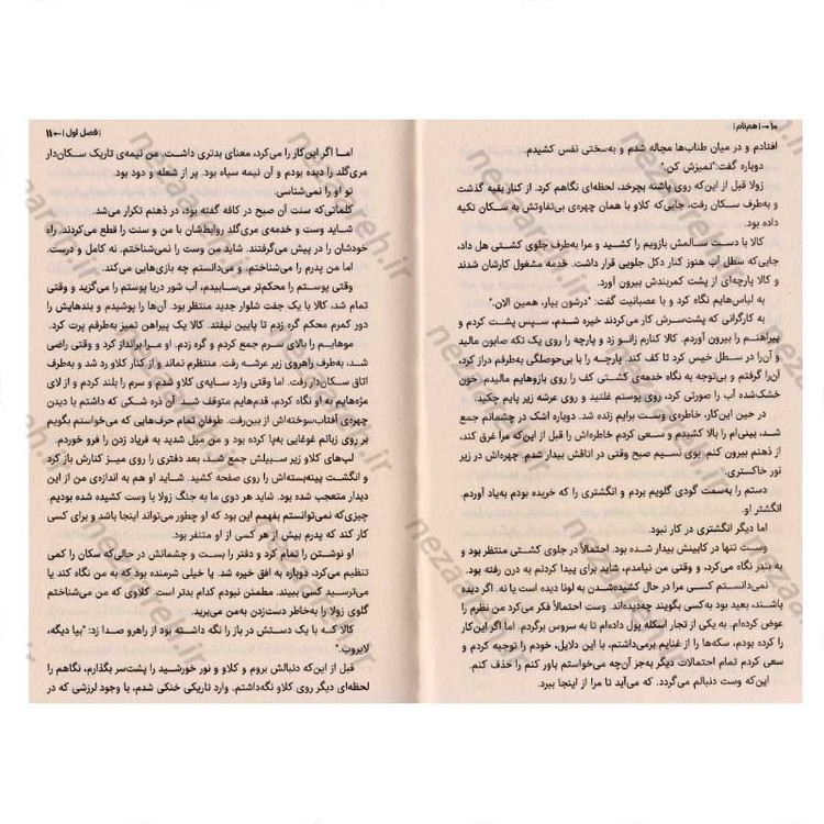 کتاب هم نام اثر آدریان یانگ