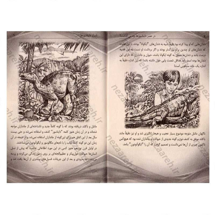کتاب اسرار دایناسورها اثر مگان استین