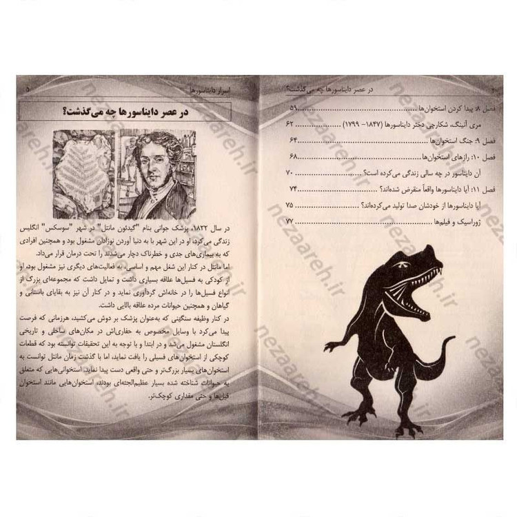 کتاب اسرار دایناسورها اثر مگان استین