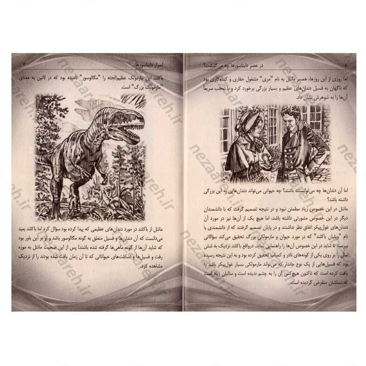 کتاب اسرار دایناسورها اثر مگان استین
