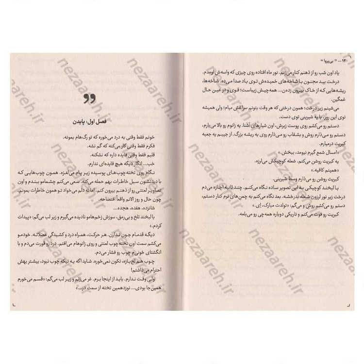 کتاب بی پروا (جایی که شجاعت، مرز دیوانگی ست) اثر لورن رابرتس