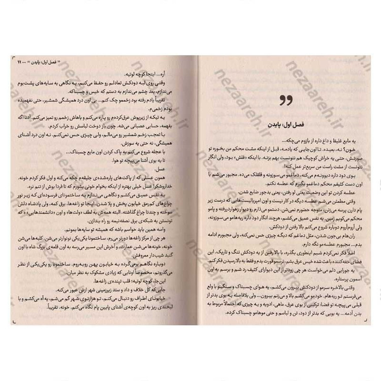 کتاب ناتوان (وقتی قدرت، مرگ می آورد ناتوان بودن نجات است) اثر لورن رابرتس