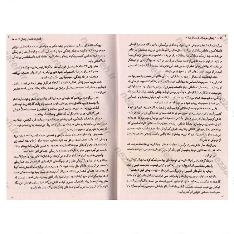 کتاب زندگی خود را دوباره بیافرینید (برنامه ای برای پایان دادن به رفتارهای منفی و باریافتن احساس خوب) اثر جفری یانگ و جنت