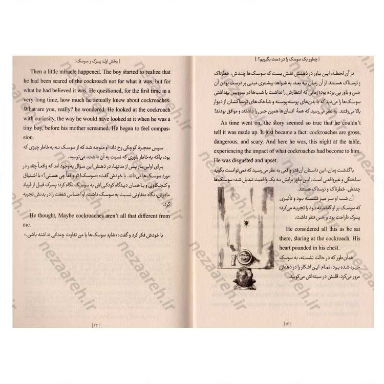 کتاب چطور یک سوسک را در دست بگیریم (متن 2 زبانه) اثر متیو مکس ول