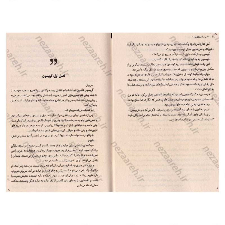 کتاب برادران هاثورن (برادرانی درگیر بازی قدرت و اعتماد) اثر جنیفر لین بارنز