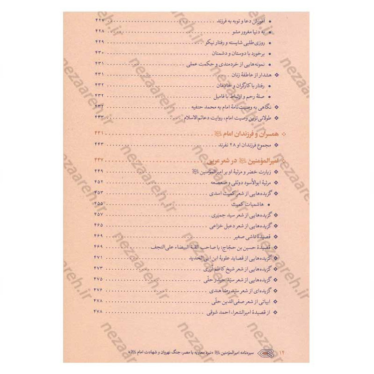 کتاب سیره نامه امیرالمومنین (ع) جلد پنجم (نبرد معاویه با مصر، جنگ نهروان و شهادت امام) اثر علی کورانی عاملی