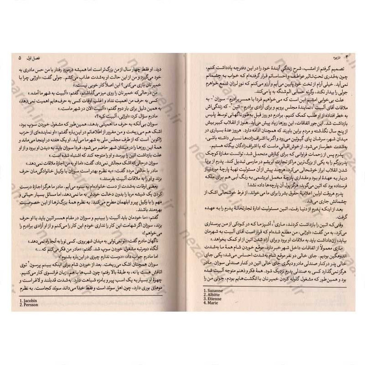 کتاب دزیره اثر آن ماری سلینکو