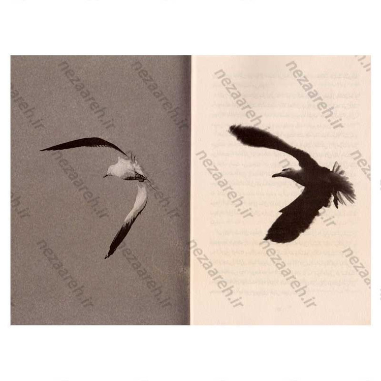 کتاب جاناتان مرغ دریایی (متن کامل) اثر ریچارد باخ