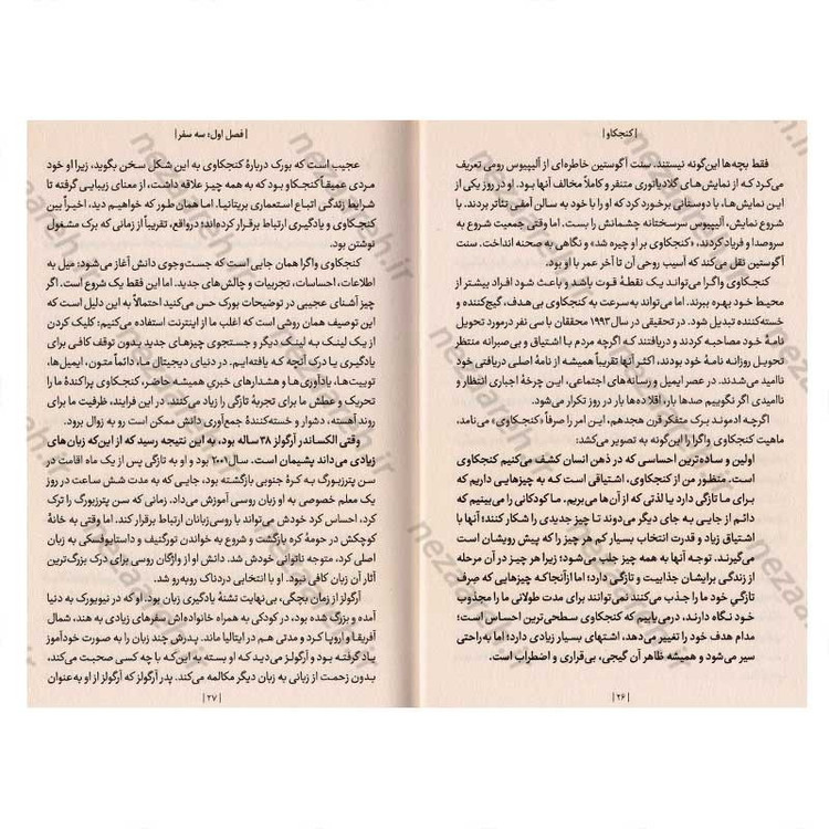 کتاب کنجکاو (اشتیاق به دانستن و این که چرا آینده شما به آن بستگی دارد) اثر ایان لزلی