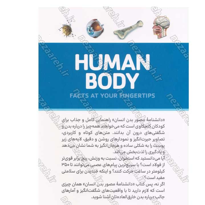 کتاب دانشنامه مصور بدن انسان اثر پنلوپ آرلون