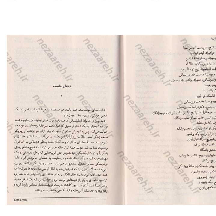 کتاب آنا کارنینا (2 جلدی) اثر لئو تولستوی
