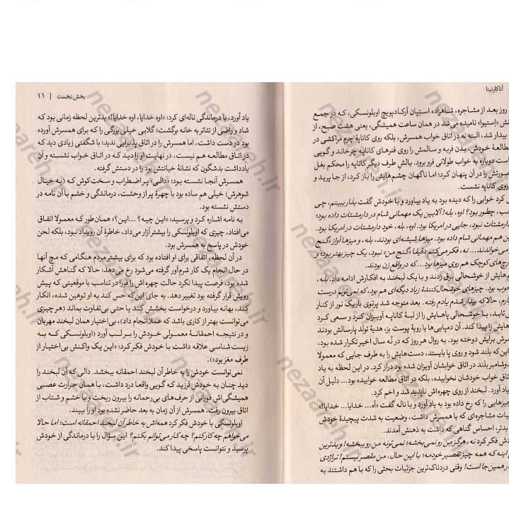کتاب آنا کارنینا (2 جلدی) اثر لئو تولستوی