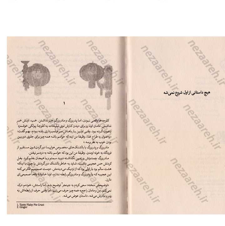 کتاب آخرین شانس میزی چن اثر لیزا ای