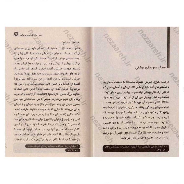 کتاب سبزترین امام (زندگانی امام حسن (ع) از ولادت تا شهادت) اثر علی شعیبی