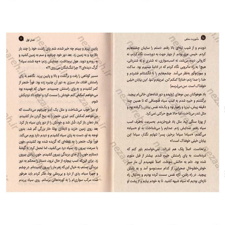 کتاب ماموریت مخفی اثر مجید ملا محمدی
