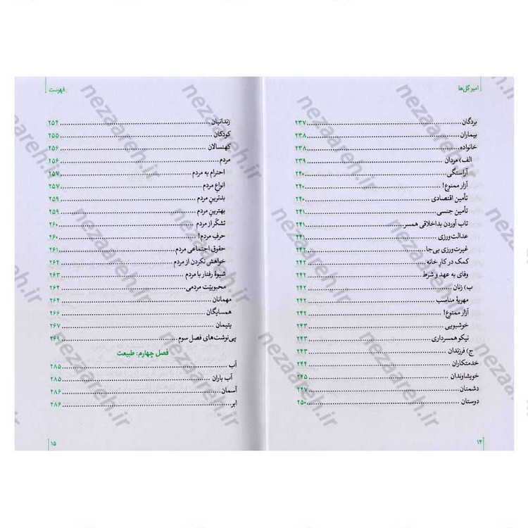 کتاب امیر گلها (نگاهی نو به زندگی و شخصیت امام علی(ع)) اثر حسین سیدی