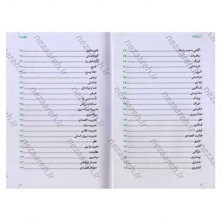 کتاب امیر گلها (نگاهی نو به زندگی و شخصیت امام علی(ع)) اثر حسین سیدی
